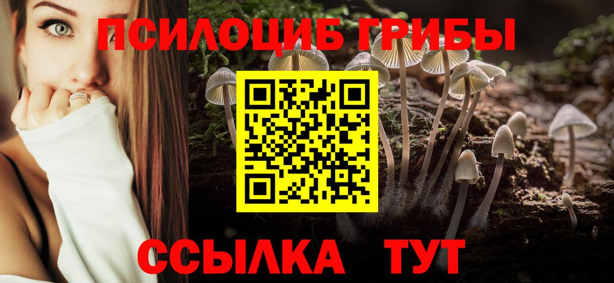 Галлюциногенные грибы Psilocybine cubensis Пугачёв