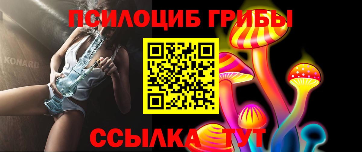 Пугачёв  Псилоцибиновые грибы GOLDEN TEACHER  купить наркотики сайты  Вход с VPN 